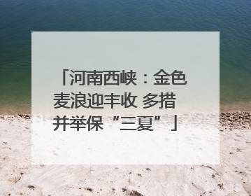 河南西峡：金色麦浪迎丰收 多措并举保“三夏”