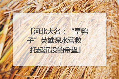 河北大名：“旱鸭子”英雄深水营救 托起沉没的希望