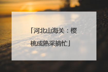 河北山海关：樱桃成熟采摘忙