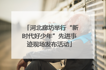 河北廊坊举行“新时代好少年”先进事迹现场发布活动