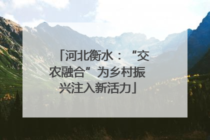 河北衡水：“交农融合”为乡村振兴注入新活力