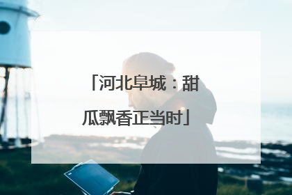 河北阜城：甜瓜飘香正当时