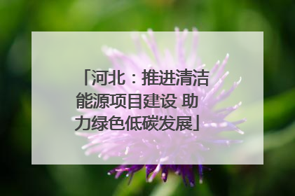 河北：推进清洁能源项目建设 助力绿色低碳发展