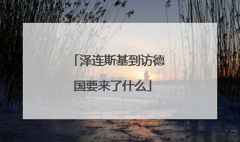 泽连斯基到访德国要来了什么