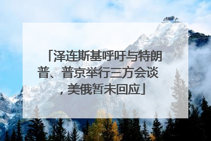 泽连斯基呼吁与特朗普、普京举行三方会谈，美俄暂未回应