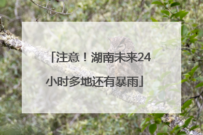 注意！湖南未来24小时多地还有暴雨