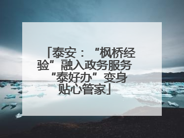 泰安：“枫桥经验”融入政务服务 “泰好办”变身贴心管家