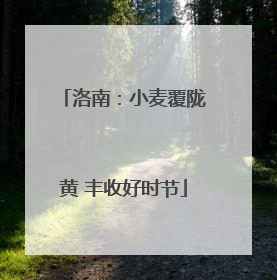 洛南：小麦覆陇黄 丰收好时节