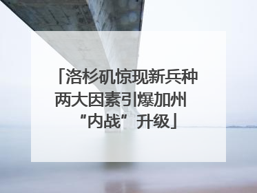 洛杉矶惊现新兵种 两大因素引爆加州“内战”升级