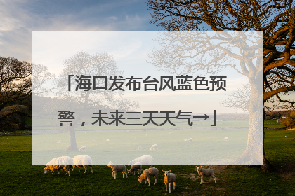 海口发布台风蓝色预警，未来三天天气→