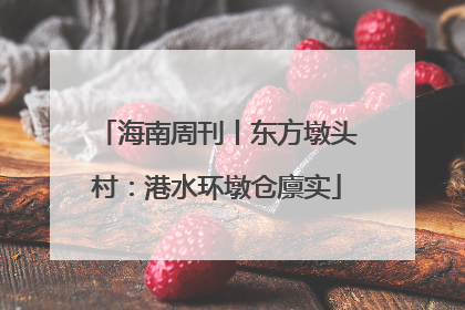 海南周刊丨东方墩头村：港水环墩仓廪实