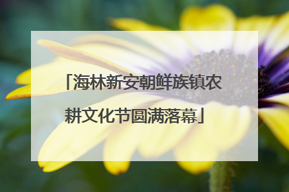 海林新安朝鲜族镇农耕文化节圆满落幕