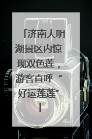 济南大明湖景区内惊现双色莲，游客直呼“好运莲莲”