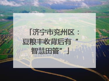 济宁市兖州区：夏粮丰收背后有“智慧田管”