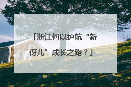 浙江何以护航“新伢儿”成长之路？
