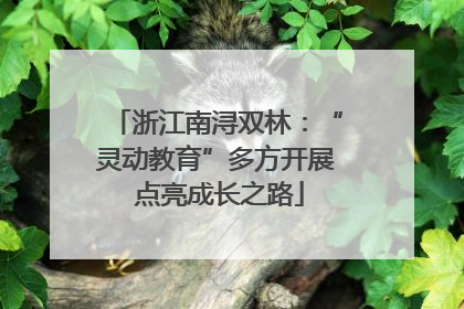 浙江南浔双林：“灵动教育”多方开展 点亮成长之路