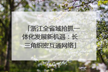 浙江全省域抢抓一体化发展新机遇：长三角织密互通网络