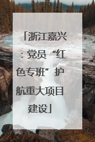 浙江嘉兴：党员“红色专班”护航重大项目建设