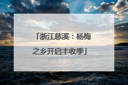 浙江慈溪：杨梅之乡开启丰收季