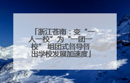 浙江苍南：变“一人一校”为“一团一校” 组团式督导督出学校发展加速度