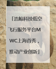 浩鲸科技低空飞行服务平台MWC上海首秀，推动产业创新