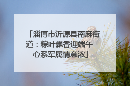 淄博市沂源县南麻街道：粽叶飘香迎端午 心系军属情意浓