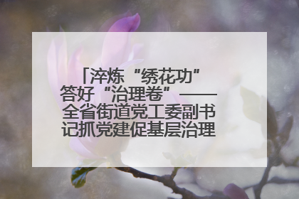 淬炼“绣花功” 答好“治理卷”——全省街道党工委副书记抓党建促基层治理培训示范班侧记