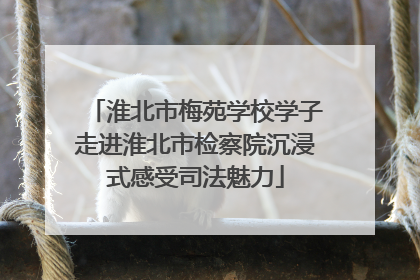 淮北市梅苑学校学子走进淮北市检察院沉浸式感受司法魅力