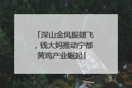 深山金凤振翅飞，钱大妈推动宁都黄鸡产业崛起