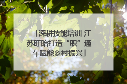 深耕技能培训 江苏盱眙打造“职”通车赋能乡村振兴
