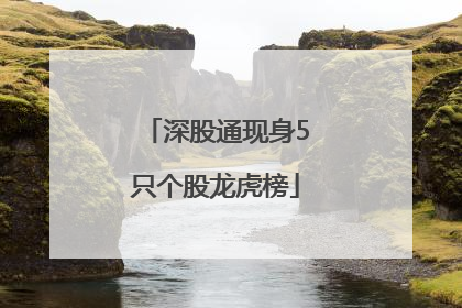 深股通现身5只个股龙虎榜