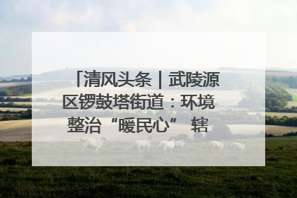 清风头条｜武陵源区锣鼓塔街道：环境整治“暖民心” 辖区面貌“靓”起来