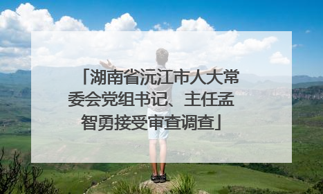 湖南省沅江市人大常委会党组书记、主任孟智勇接受审查调查