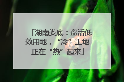 湖南娄底：盘活低效用地，“冷”土地正在“热”起来