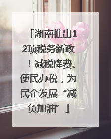 湖南推出12项税务新政！减税降费、便民办税，为民企发展“减负加油”