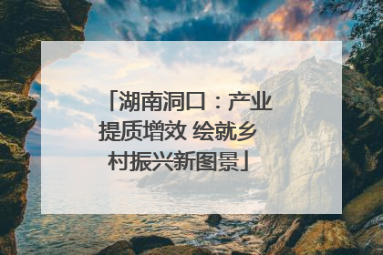 湖南洞口：产业提质增效 绘就乡村振兴新图景