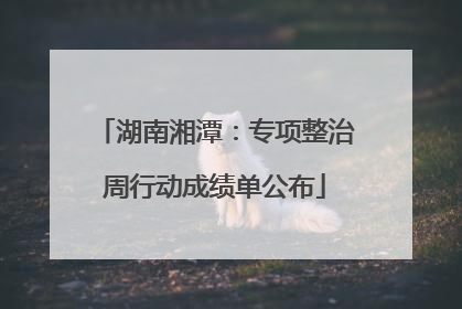 湖南湘潭：专项整治周行动成绩单公布