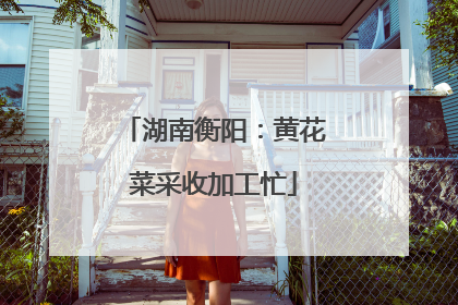 湖南衡阳：黄花菜采收加工忙