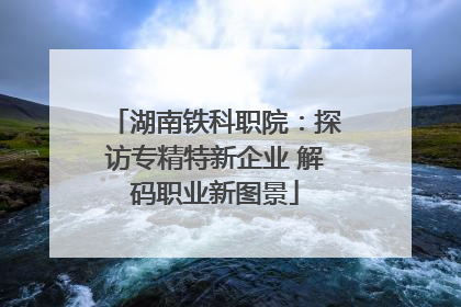 湖南铁科职院：探访专精特新企业 解码职业新图景