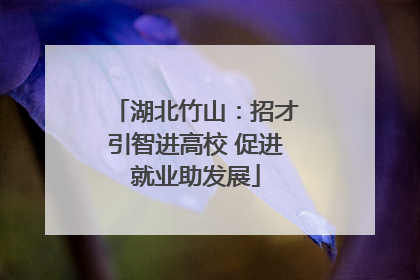 湖北竹山：招才引智进高校 促进就业助发展