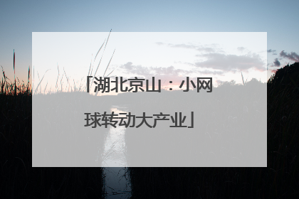 湖北京山：小网球转动大产业