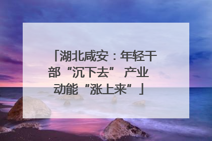 湖北咸安：年轻干部“沉下去” 产业动能“涨上来”