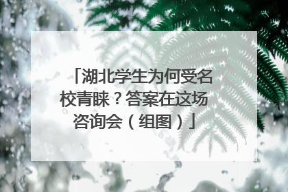 湖北学生为何受名校青睐？答案在这场咨询会（组图）