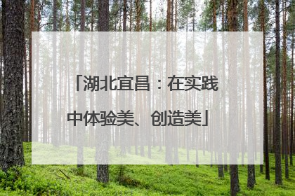 湖北宜昌：在实践中体验美、创造美