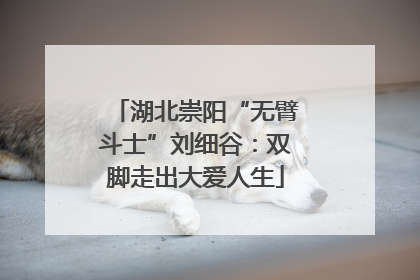 湖北崇阳“无臂斗士”刘细谷：双脚走出大爱人生
