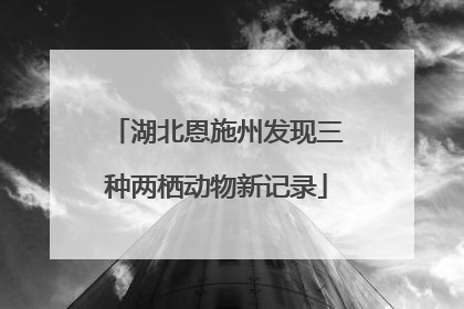 湖北恩施州发现三种两栖动物新记录