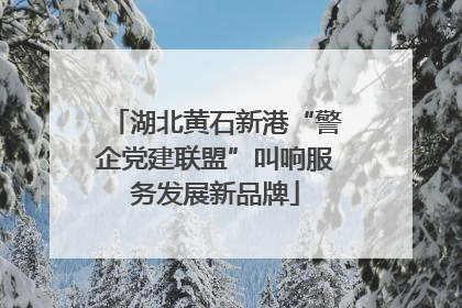 湖北黄石新港“警企党建联盟”叫响服务发展新品牌
