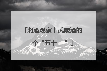湘酒观察丨武陵酒的三个“五十三 ”