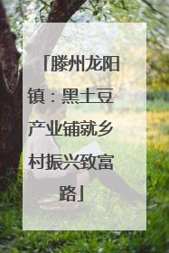滕州龙阳镇：黑土豆产业铺就乡村振兴致富路