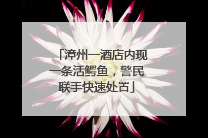 漳州一酒店内现一条活鳄鱼，警民联手快速处置